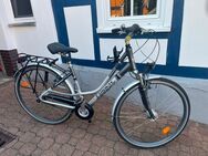 Damenfahrrad - Bad Sooden-Allendorf