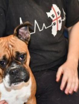 Powerpaket Nina sucht Zuhause - Neuss