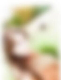 Sta*** - Siegen (Universitätsstadt)