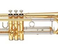 Yamaha Plutus Trompete. Neuware, 5 Jahre Garantie - Hagenburg