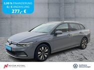 VW Golf Variant, 2.0 TDI Golf VIII MOVE, Jahr 2024 - Hof