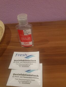 Desinfektionsmittel - München Untergiesing-Harlaching