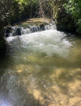 500 m² Traumhafte Pachtgrundstücke in Fundäo/ Alperinha Portugal - Bünde