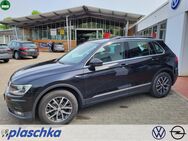 VW Tiguan, 2.0 TDI Comfortline Businesspaket Induktionsladen, Jahr 2018 - Munster