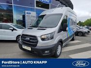 Ford Transit Trend Kasten 350 L3 WERKSTATTAUSBAU Würth DAB Spurhalteass. Alarm Notbremsass. - Weinheim