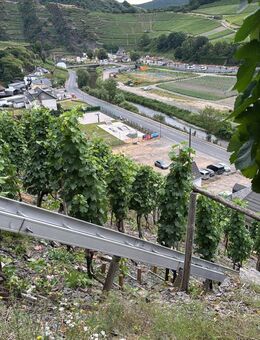 Wir suchen einen Erntehelfer im Weinberg - Mayschoß