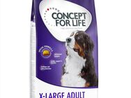 12 kg Concept for Life zum Sonderpreis! - X-Large Adult
