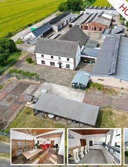 Super Rendite: Charmante Landwirtschaftliche Kapitalanlage auf großem Grundstück in Bedburg-Hau ! - Bedburg-Hau