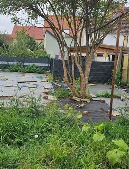 Haus mit Garten für handwerkliches Geschick. - Mühlberg (Elbe)