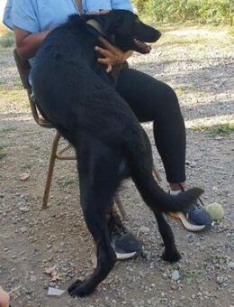 Tofu; sucht sympathischen Spielpartner - Geilenkirchen