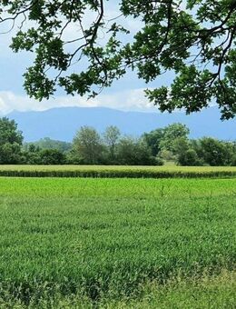 Exklusiver Landsitz, Berg-Panorama-Blick, Weilheim, schönstes Pfaffenwinkel - Weilheim (Oberbayern)