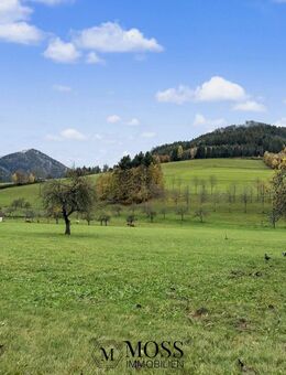 Ihr neues Domizil in Simonswald - Familienfreundlich, renoviert & mit Einliegerwohnung - Simonswald