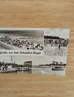 Ansichtskarte-AK-455-Grüße aus dem Ostseebad Zingst. - Nörvenich