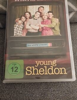 Young Sheldon - Die Siebte und letzte Staffel DVD - Wächtersbach