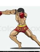 Trainingspartner für Boxen-Thaiboxen in 30453