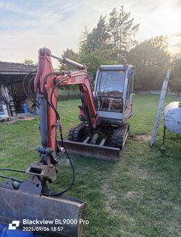 Minibagger Kettenbagger Neuson 3503 - Vellmar