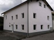 Vollständig renoviertes und modernisiertes 5-Zimmer-Einfamilienhaus in Eichendorf - Eichendorf