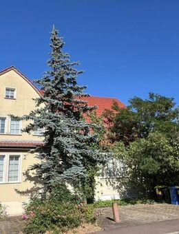 Merseburg: Villa für 1 bis 3 Familien, großes Grundstück, für Wohnen und/oder Büro, PKW-Stellplätze divers - Merseburg