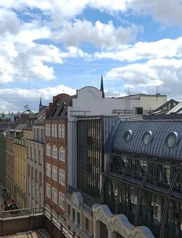 Keine Anrufe - nur schriftliche Anfragen - die ist besonders: 2 Dachterrassen - Rathaus - Gerhof Whg. 8 - Hamburg