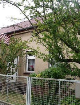 Haus und Nebengelass mit viel Potenzial in Langewahl sucht kreative Ideen und handwerkliches Geschick! - Langewahl