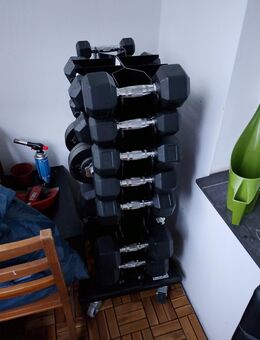 Hexagonhantel Baum - Bochum Goldhamme