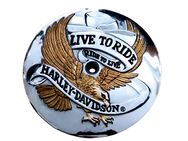 Harley Davidson Live to Ride Luftfiltercover EVO Sportster Shovelhead - Meißen Zentrum