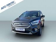 Ford Kuga 1.5 EcoBoost 2x4 Cool & Connect - Worms