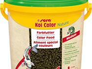 Sera Koi Color Nature Medium - 3800 ml