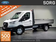 Ford Transit, 350L2-Trend Einzelkabine-Pritsche NEU, Jahr 2024 - Fulda