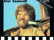 Gesucht- Der Seewolf -Hans Posegga Ost: CD - Cottbus Zentrum