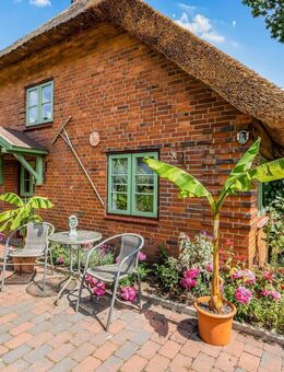 Charmantes Reetdachhaus mit Gästewohnung - Süderlügum