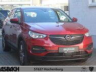 Opel Grandland X, Hybrid, Jahr 2021 - Hachenburg