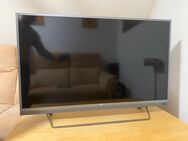 Philips Ambilight 49 zoll - Nachrodt-Wiblingwerde