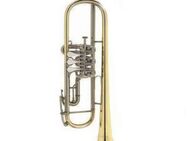 Deutsche Konzert - Trompete B & S, Neuinstrument mit Garantie, Modell 5/3, lackiert - Hagenburg