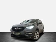 Opel Grandland X 1.6 Turbo Hybrid 4 BUSINESS EDITION - Hof