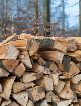 Brennholz 33 cm Stücken Feuerholz Kaminholz Reine Buche 30 Kg ofenfertig gespalten - Wuppertal