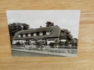 Ansichtskarte-AK-391-Egestorf-Pension v.d. Heide. - Nörvenich