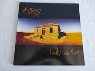 Midnight Oil - Diesel and Dust, LP, Vinyl, Schallplatte - Tauberbischofsheim Zentrum