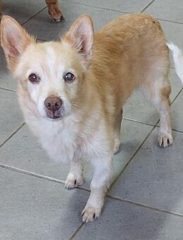 BEKOMMT AGUAS NOCHMAL EINE CHANCE? - Mönchengladbach