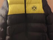 BvB Jacke Größe M - Külsheim