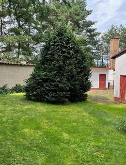 Einfamilienhaus mit ehemaliger Schmiede in Benz - Benz (Landkreis Vorpommern-Greifswald)