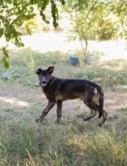 TITUS - jede Menge Neues erleben - Overath