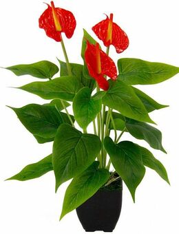 Kunstblume Anthuriumpflanze, I.GE.A., Höhe 42 cm, Anthurien Pflanze im Topf Anthurieexotisch Flamingopflanze