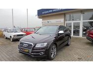 Audi SQ5 3.0 TDI quattro Leder Individual,AT,Navi,RFK - Dresden