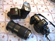 Canon EOS 500 SLR mit Tamron 28-200mm, Nahlinse 240 € - Celle