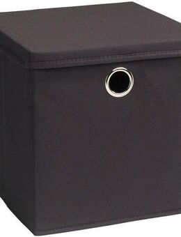 ECHTWERK Aufbewahrungsbox Aufbewahrungskiste mit Deckel und Metallöse (1 St), Faltbar/Klappbar/Praktisch
