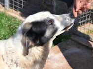 Tolle Aliki waret auf ihre Entdeckung - Mettmann