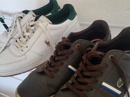 Ralph Lauren / Lacoste Schuhe - Brandenburg (Havel)
