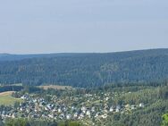 Einzigartige Berghütte auf dem Aschberg! - Klingenthal