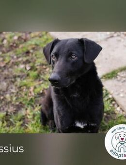 Cassius Gern im Team unterwegs - Kirchzell